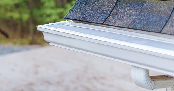 Why Gutter Guards Should Be Your Next Home Renovation - LeafFilter ...